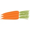 Altri Adesivi carota