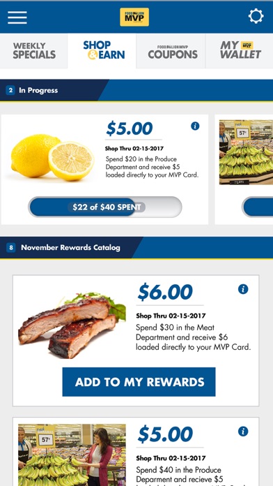 food lion llc