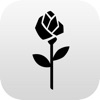 Seidensticker - Chemises sans repassage pour homme