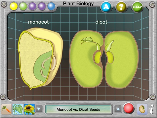 Interactive Plant Biology Explorerのおすすめ画像5
