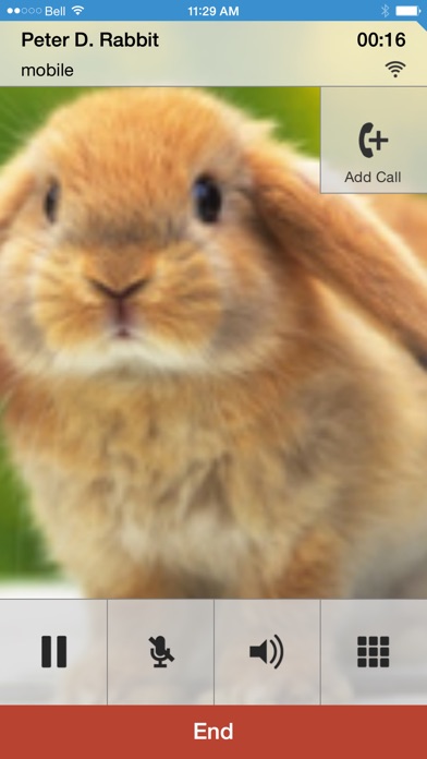 iPhone Screenshot 2