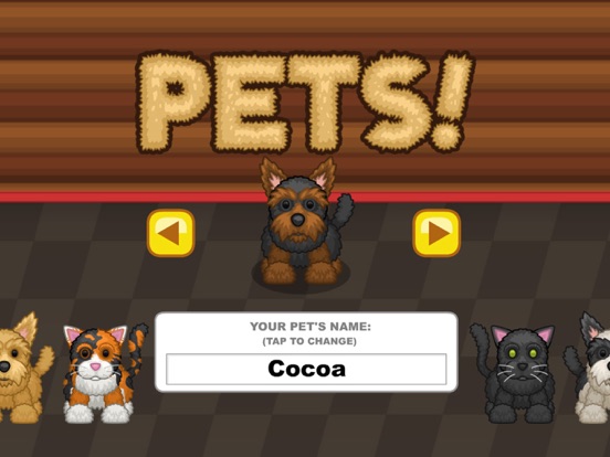 iPad Screenshot 4