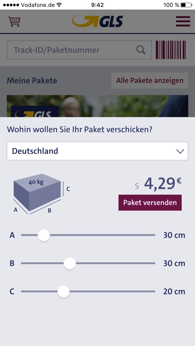 iPhone Screenshot 2