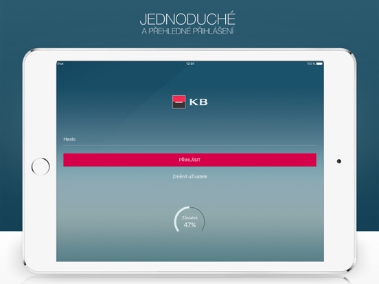 iPad Screenshot 1