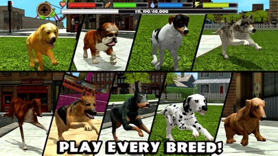 stray dog simulator game