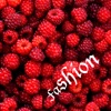 ファション コレクション