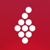 Vivino: Explorateur de vins