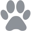 Travelstall Travel Trip Group Travel With