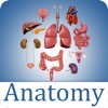 Human Anatomy-Anatomy and Physiology Study anatomy 