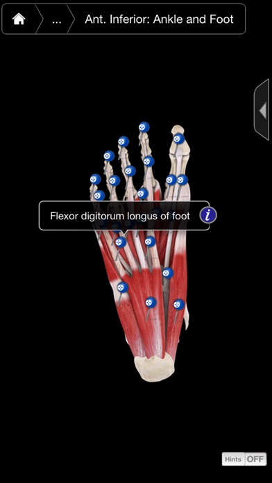 iPhone Screenshot 3