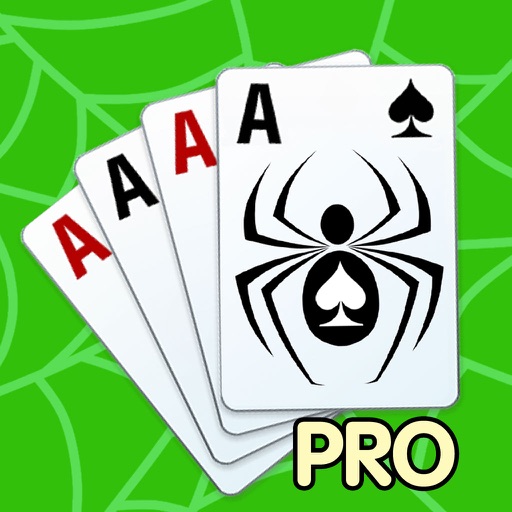 Spider solitaire PRO - classic popular game