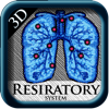 3D Respiratory System Pns