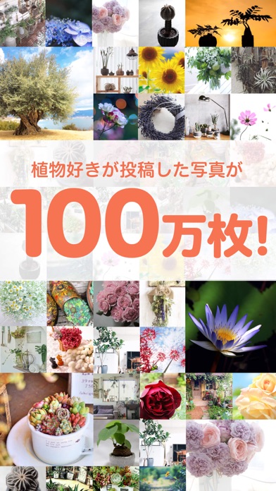 iPhone スクリーンショット 1