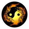 Acupuncture Assistant