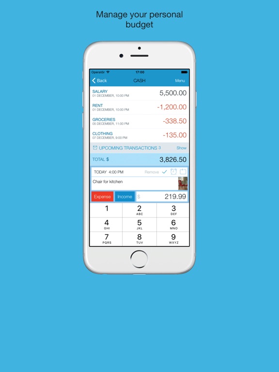 iPad Screenshot 1