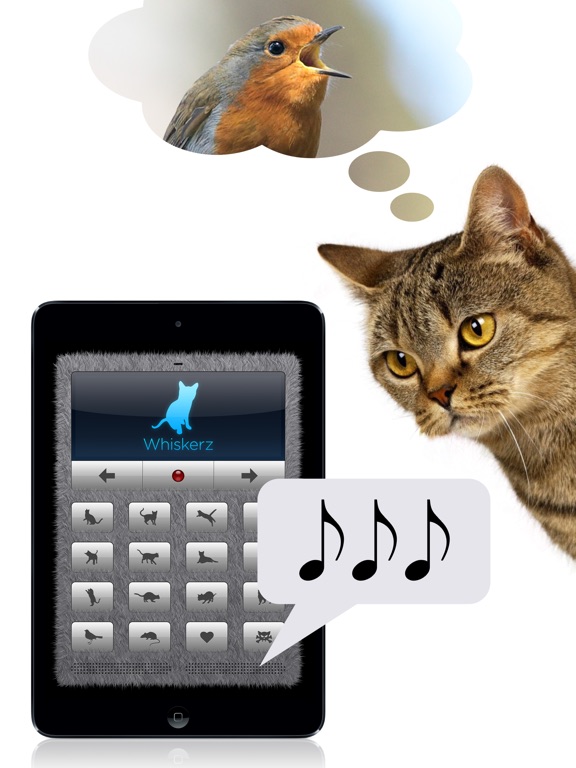HumantoCat Translator Deluxe on the App Store
