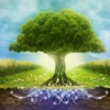 Environmental Art Wallpapers HD: Quotes Backgrounds with Art Pictures body art pictures 