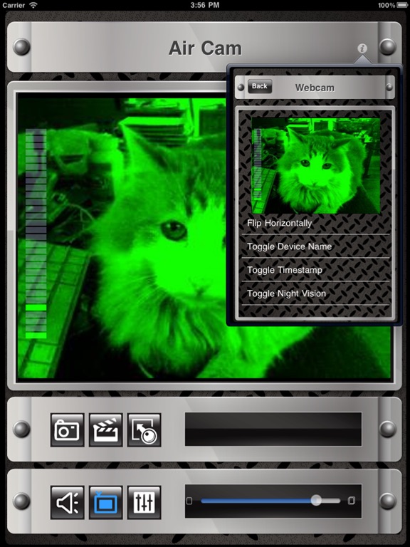iPad Screenshot 3