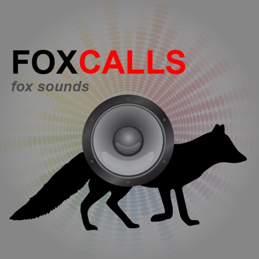 grey fox sounds