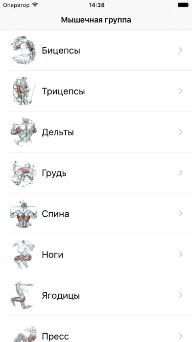 Снимок экрана iPhone 1