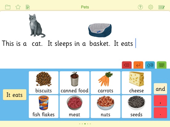 iPad Screenshot 1