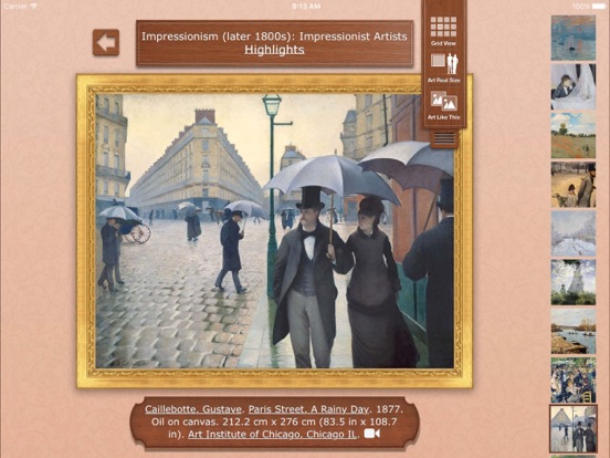 iPad Screenshot 3