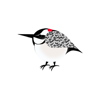 Zachary O'Grady - Pretty Birds artwork