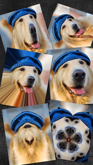iPhone Screenshot 1