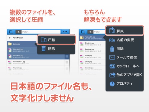 BoxCrane for iPad - FileCrane for Dropboxのおすすめ画像4