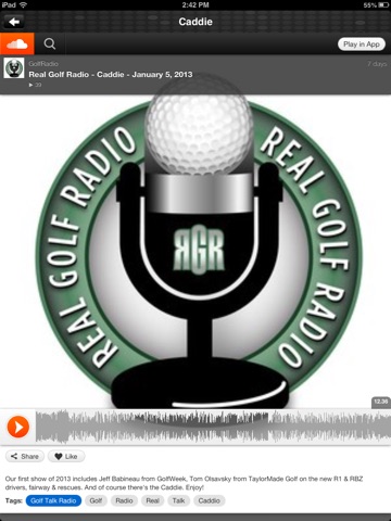 Скриншот из Golf Radio