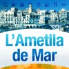 L'Ametlla de Mar на своем мобильном