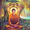 Śākyamuni Biography and Quotes: Life with Documentary buddhists 