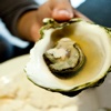 How To Cook Oysters kumamoto oysters 