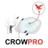 Crow Hunt Planner for Crow Hunting - AD FREE CROWPRO eating crow 