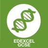 Biology GCSE Edexcel Revision Games biology games 