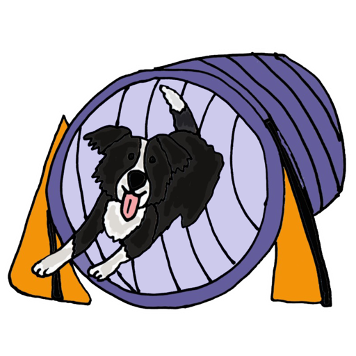 Made Simple! Dog Agility Training Mac OS X