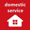 domestic service domestic service definition 