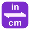 Inches To Centimeters | Inch To Centimeter | in to cm printable centimeter ruler 