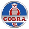 Cobra Softwares Inc desktop publishing softwares 