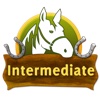 Horseback Riding: Intermediate