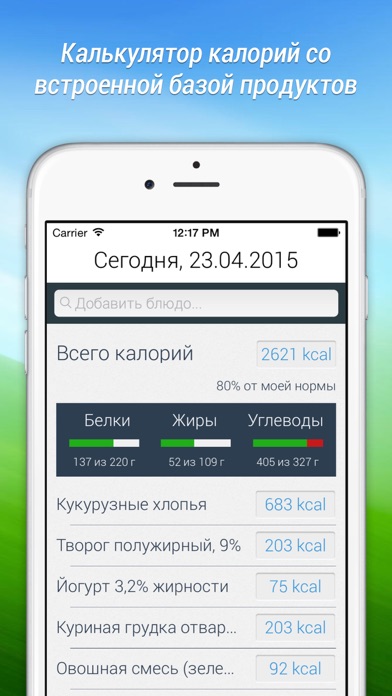 Снимок экрана iPhone 1