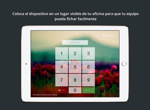 Captura de pantalla del iPad 2