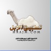 الإبل