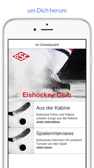 iPhone Screenshot 4