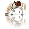 Flip Mirror - Best photo reflection app