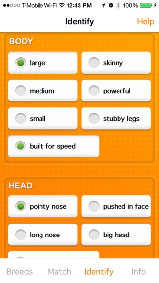 iPhone Screenshot 5