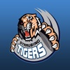 Straubing Tigers