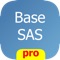 Base SAS Practice Exa...