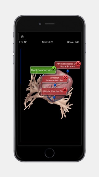 iPhone Screenshot 5