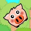 Hungry pig2
